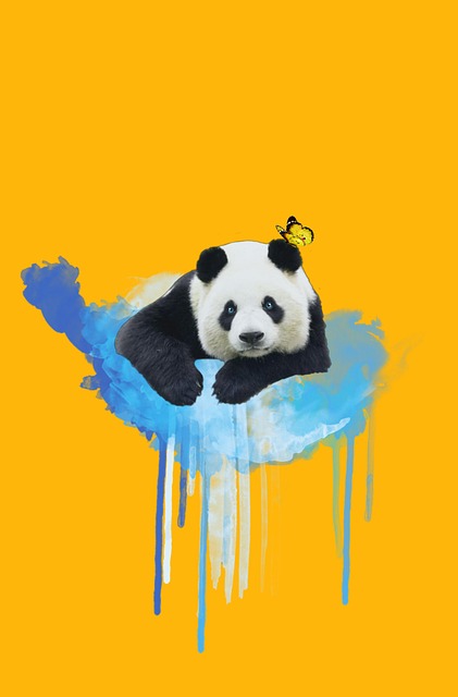 Adobe Photoshop Mastery Course